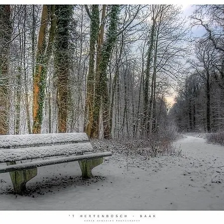 De Baander Holiday home Baak