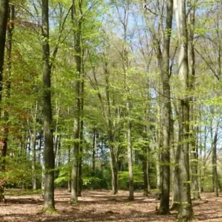 Holiday home De Baander Baak