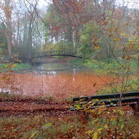 Holiday home De Baander Baak