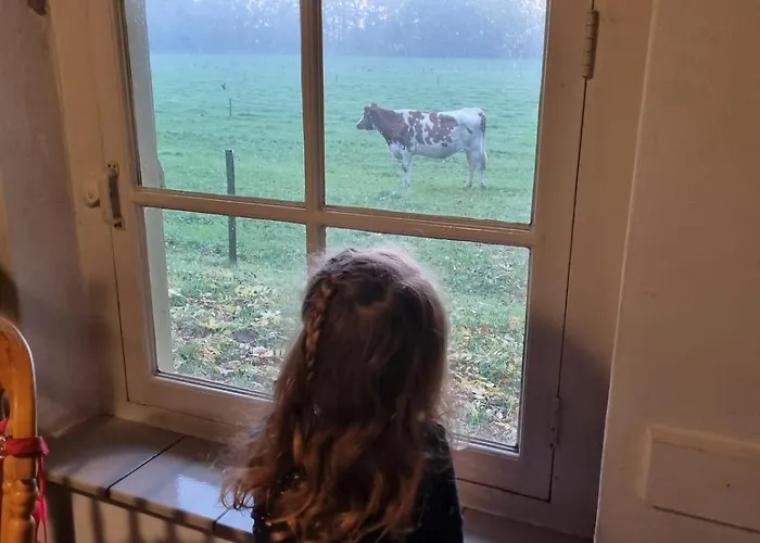 Feriehus De Baander *