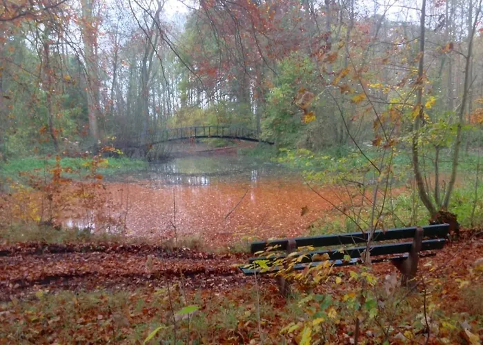 Feriehus De Baander Baak