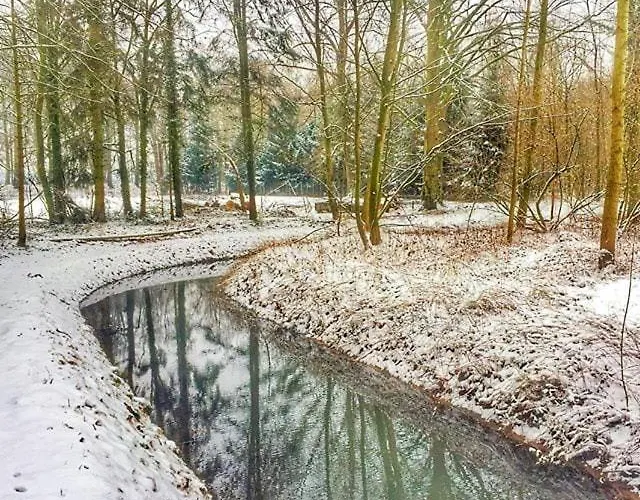 Holiday home De Baander *