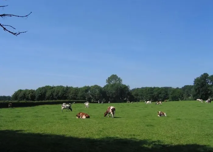 Holiday home De Baander Baak